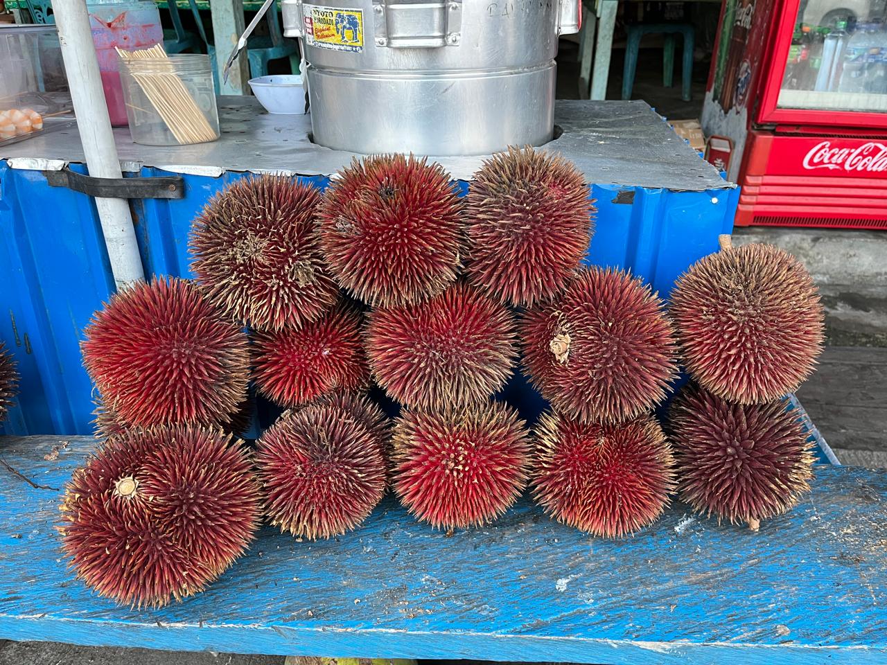 Buah Lahung, Durian Hutan Khas Kalimantan yang Kian Langka