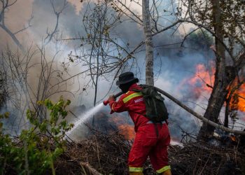 Pemkab Kutim Pastikan Karhutla Terkendali, Hotspot Ditangani dengan Cepat